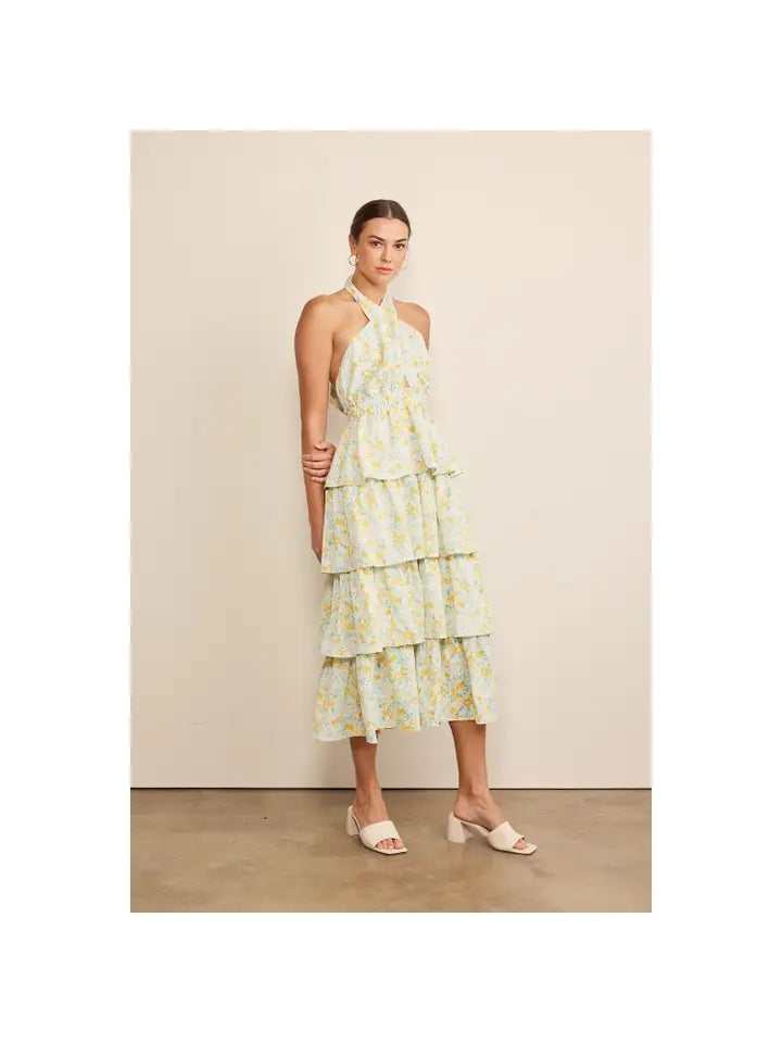Garden Party Dress
