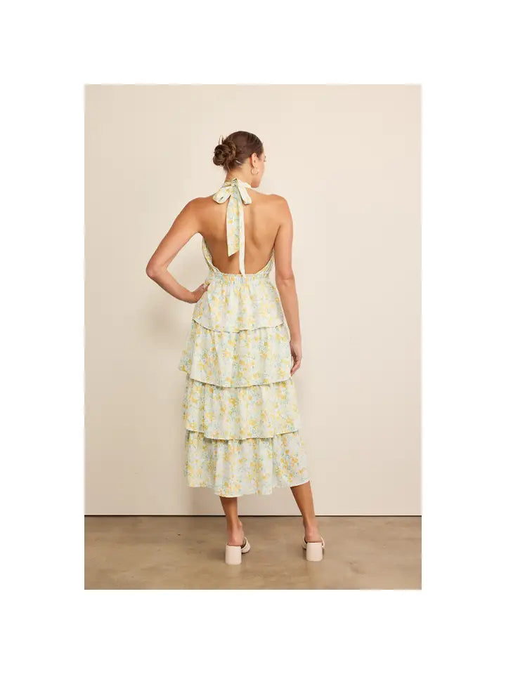 Garden Party Dress